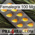 Femalegra 100 Mg cialis1